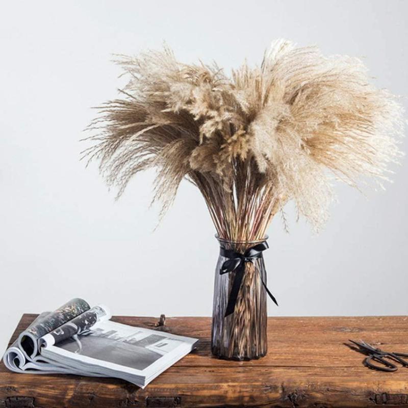 

50/100pcs dried pampas grass natural phragmites&reed flowers&bulrush flowers communis wedding flower bunch, 50pcs