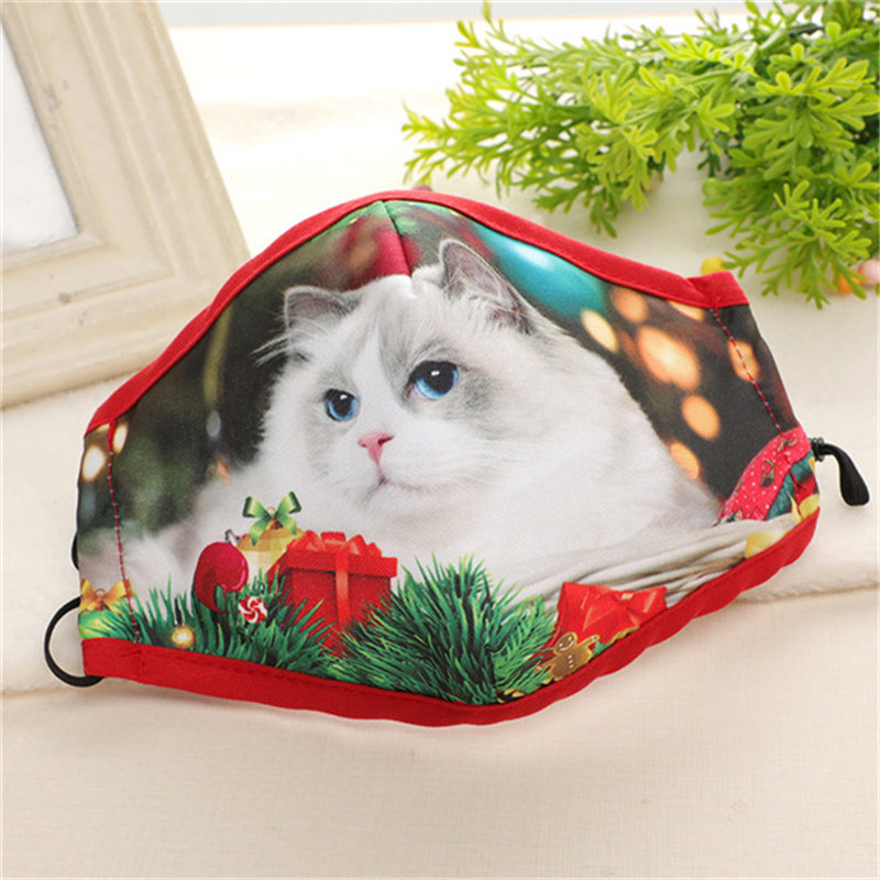 Tembel Kedi