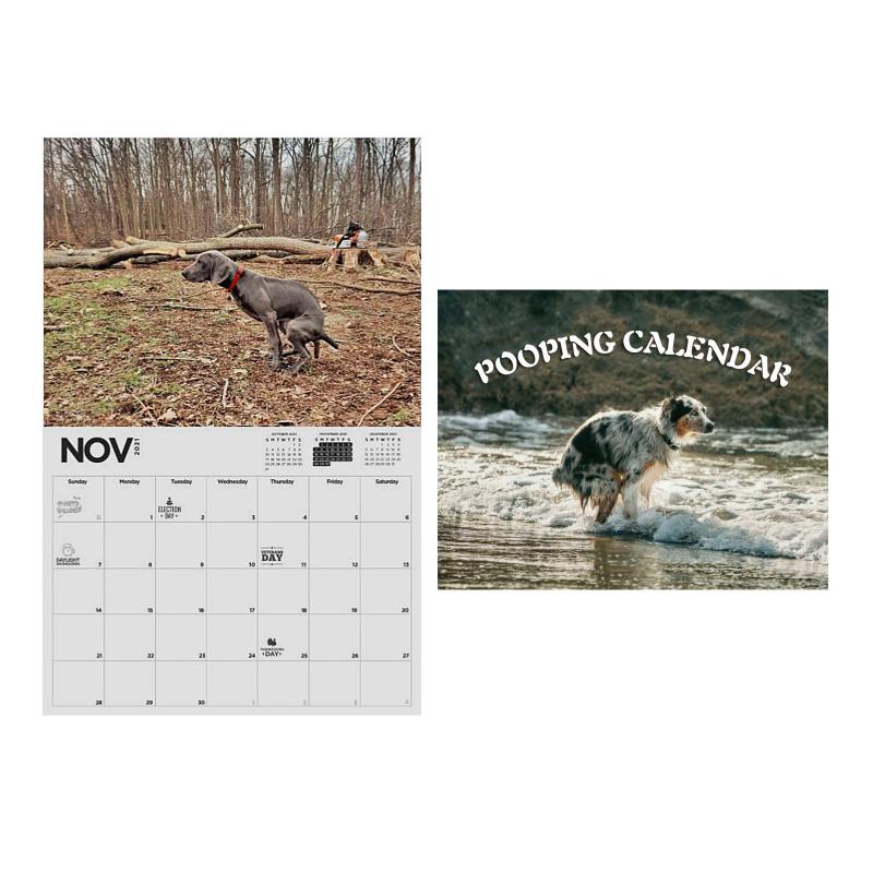 

Funny Gifts 2021 Calendar Dogs Pooping Wall Calendar Funny Gifts Desktop Decoration Household Products#G30