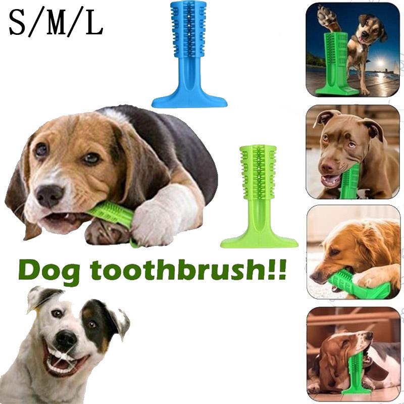 

Pets Toothbrush toy dog pet dog chewing toy Teddy Small Toothbrush Stick dental care supplies cleaning supplies oral