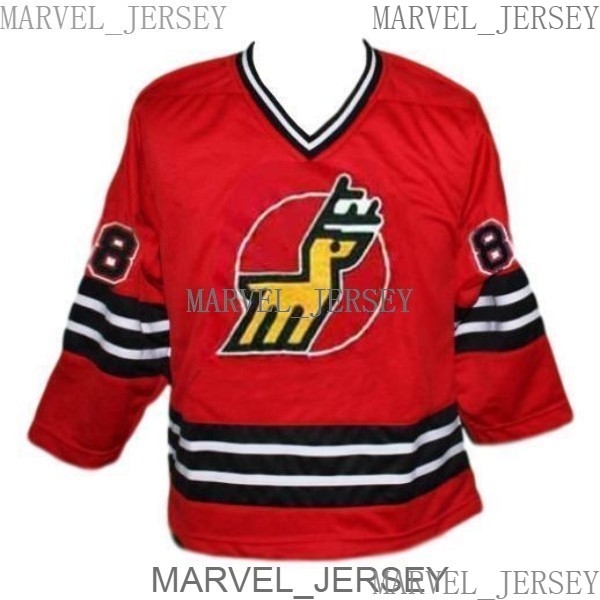 

Any Name Number Michigan Stags Custom Retro Hockey Jersey Red Size -5XL Men, As pic