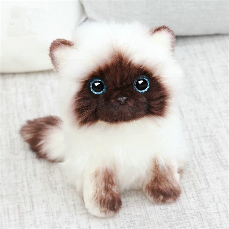 

Simulation Siamese cat Plush toy Blue Sequins eyes Cat Plush Doll Brown and White Face Ragdoll plush Cat Home Decor Doll toys 201212