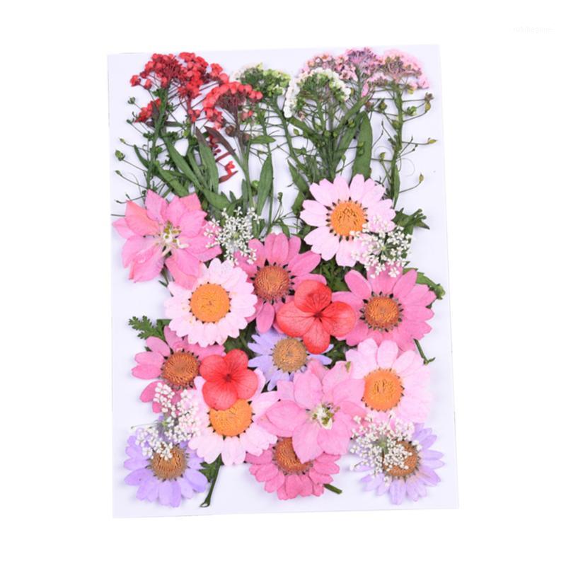 

Party Ornament Home Floral Decoration Dried Flower DIY Mix Up Photography Prop Gift Living Room Art Collection Accessories1