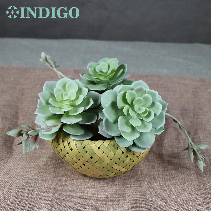 

Echeveria Grus Artificial Succulent Plant Plastic Flower Table Decoration Green Wall Background Free Decorative Flowers & Wreaths, 1 piece
