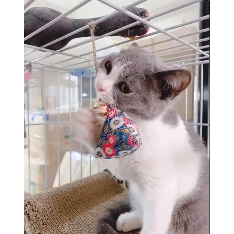 

Cat Catnip Toy Hanging Japanese Sachet Cat Chew Catnip Chew Interactive Toys for Cats Kitten Cage Pet Supplies