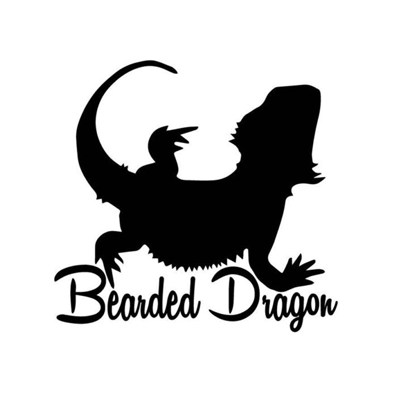 

12.4*12CM Funny Bearded Dragon Vinyl Car Stickers Bumper Car Window C12-1108