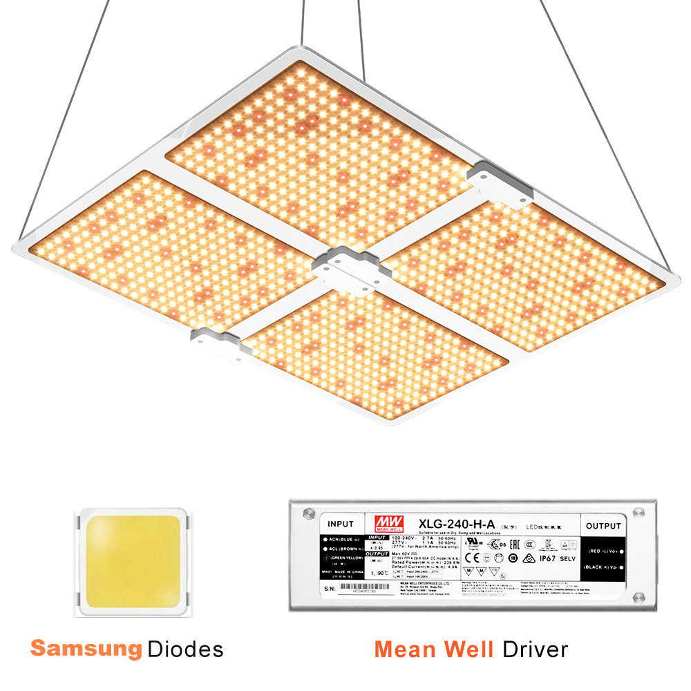 

Full Spectrum Samsung LED Grow Light 4000W 3000k+5000k+660nm+IR Dimmable Plant Grow Lamp Led with Meanwell Driver
