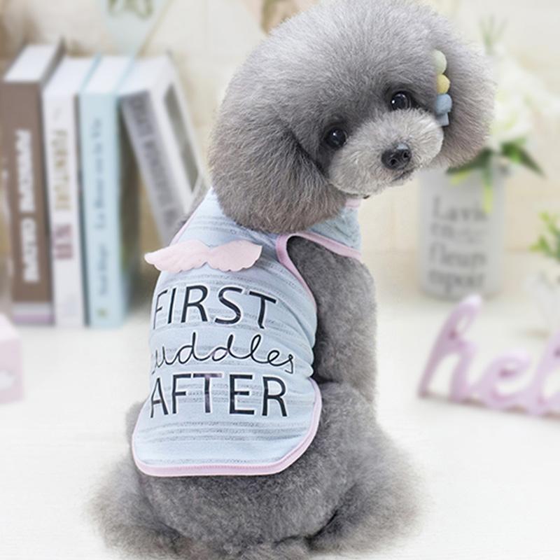 dog clothes online shopping