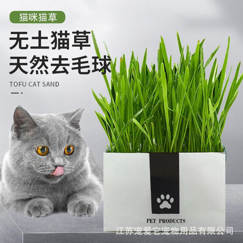 

Seed Nutrition Pulp Soilless Catgrass Hair Removing and Pelleting Cream Fresh Breath Cat Snacks Pet Products