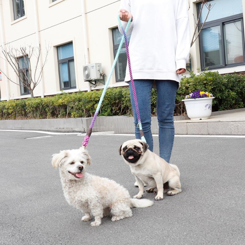 

180cm 6ft Dog Leash Rope Small Medium Large Dogs Puppy Leashes Long Heavy Duty Large Pet Dog Lead1
