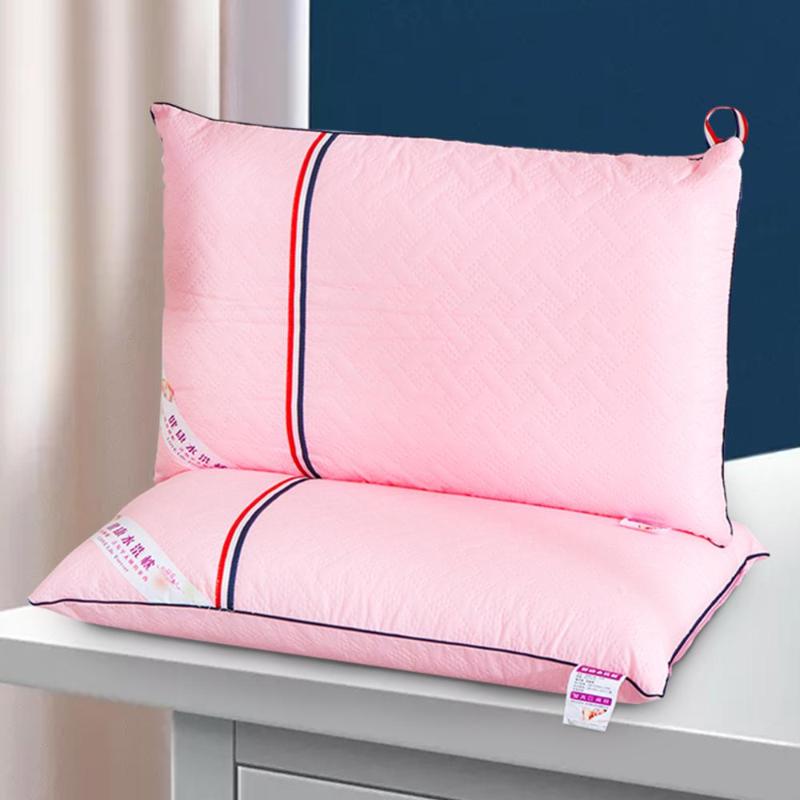 

Exquisite & Beautiful Pillow For Living Room With Hot Melt Cotton Soft & Soft Bedsure 48x74cm