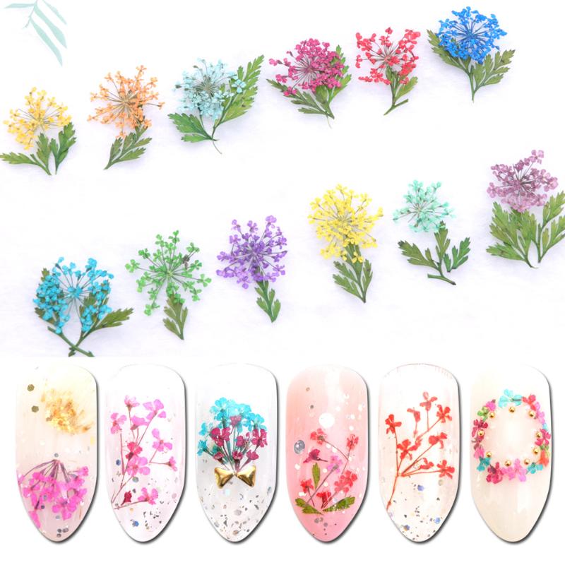 

Mix Dried Flowers Nail Jewelry Set DIY Tips Small Flowers Nails Decorations Stickers Polish Manicure Tools Nail Accessories