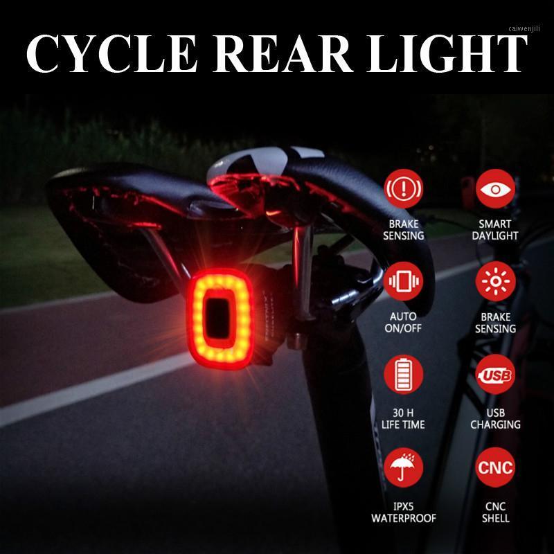 

Bicycle Rear Light USB Rechargeable IPX5 Waterproof Bike Light For MTB Helmet Pack Bag Tail 5 Models Cycling Taillight1