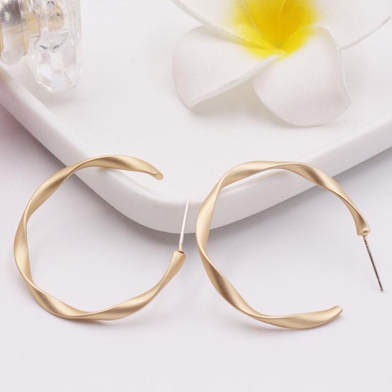 

Classic metal spiral Hoop Earrings For Women 2020 fashionable western hip-hop dating party charm earrings wholesale
