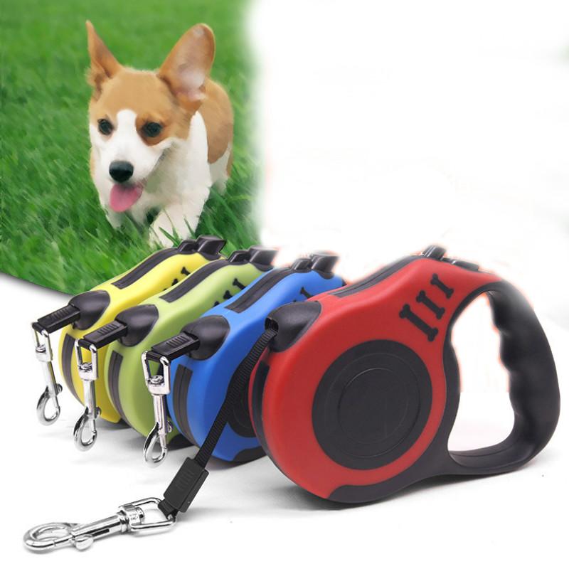 

5M Extending Puppy Walking Running Lead Roulette For Dogs Durable Dog Leash Automatic Retractable Nylon Cat