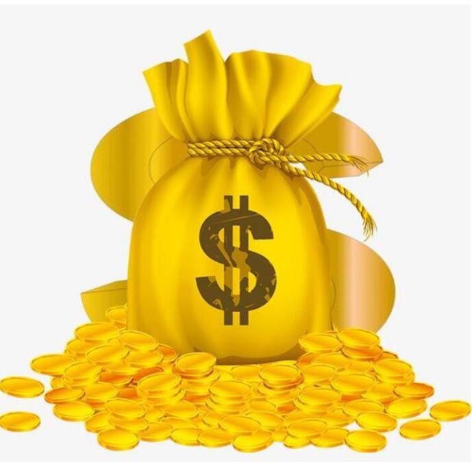 

coin Dont place it Its fast link for customers to pay for extra price such as shipping cost DHL fees and so on