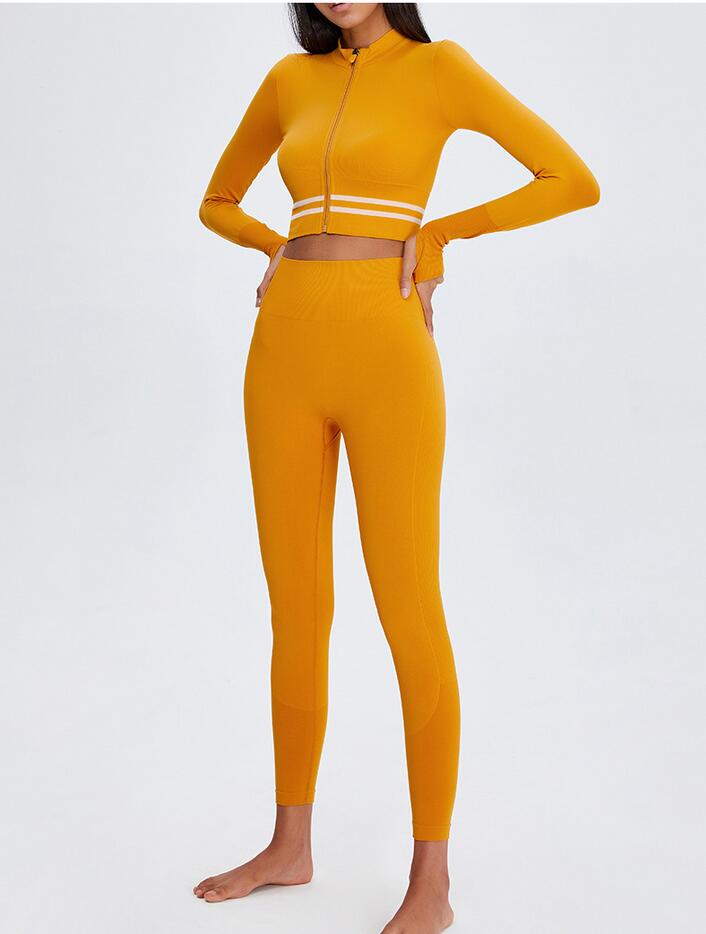 

2021 spring new net red women yoga sports coat nylon elastic zipper running room sexy fashion fitness suit, Pink