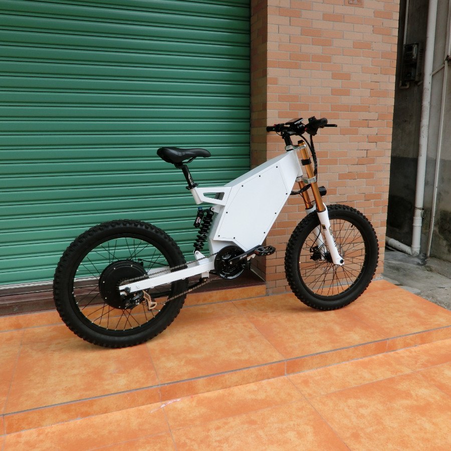 large frame ebike