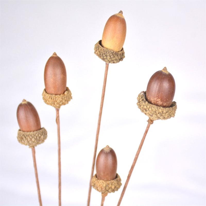 

Natural acorn berries dried flower dried fruit arrangement wild acorn Artificial flowers home Christmas holiday decoration, Natural acorns