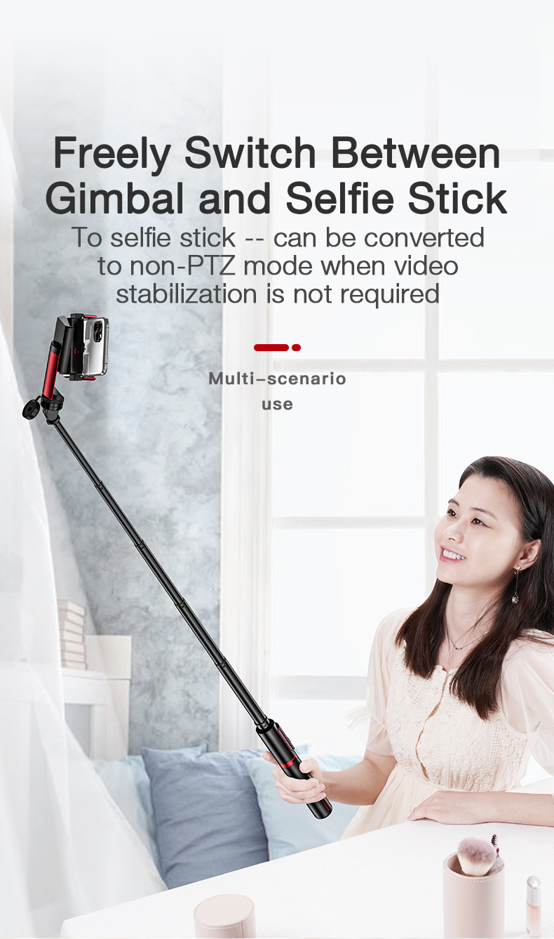 gimbal stabilizer and (14)