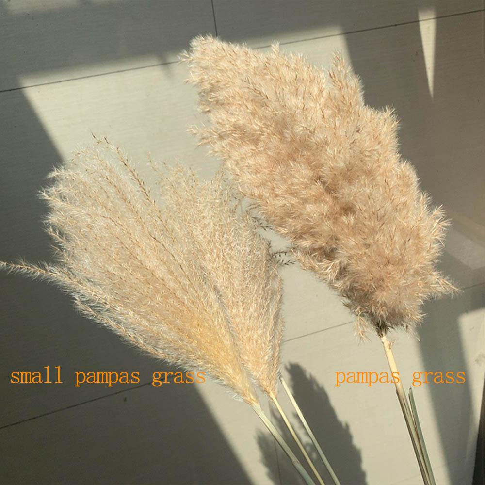 

real pampas grass decor natural dried flowers plants wedding flowers dry flower bouquet fluffy lovely for holiday home decor fast ship, Shipping cost for vip