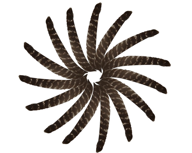 

7.8inch Feather Archery Hunting Shooting Feather Vanes Rubber Feather Fletching DIY Arrow