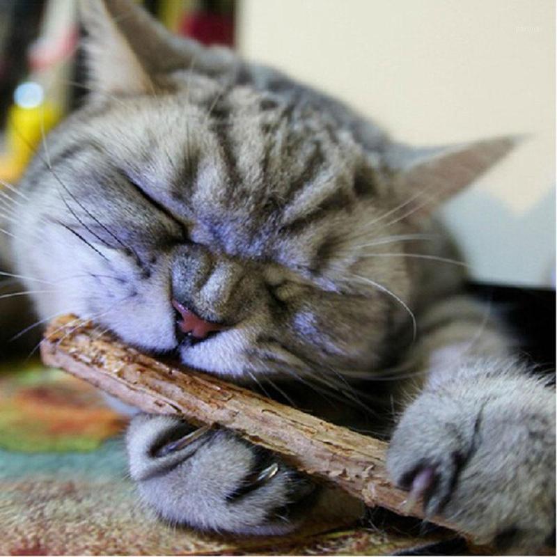 

15/20pcs Pure Natural Fruit Matatabi Cat Sticks Catnip Pet Cat Molar Rod Molar Chewing Cleaning Teeth Pet Supplies1