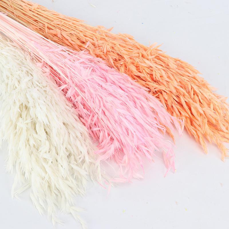 

Natural Dried Fresh Flower Bundle Preserved Flower DIY Wedding Background Wall Wheat Photo Photography props1, White