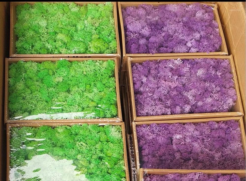 

200g Preserved Fresh Dried Moss For Wedding Home Party Holiday Decorate DIY Bouquet Project Accessory1, Blue