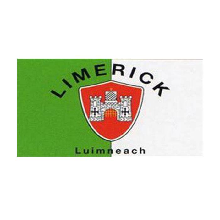 

Ireland County Limerick Banner 3x5FT 90x150cm Double Stitching Flag Festival Party Gift 100D Polyester Indoor Outdoor Printed Hot selling