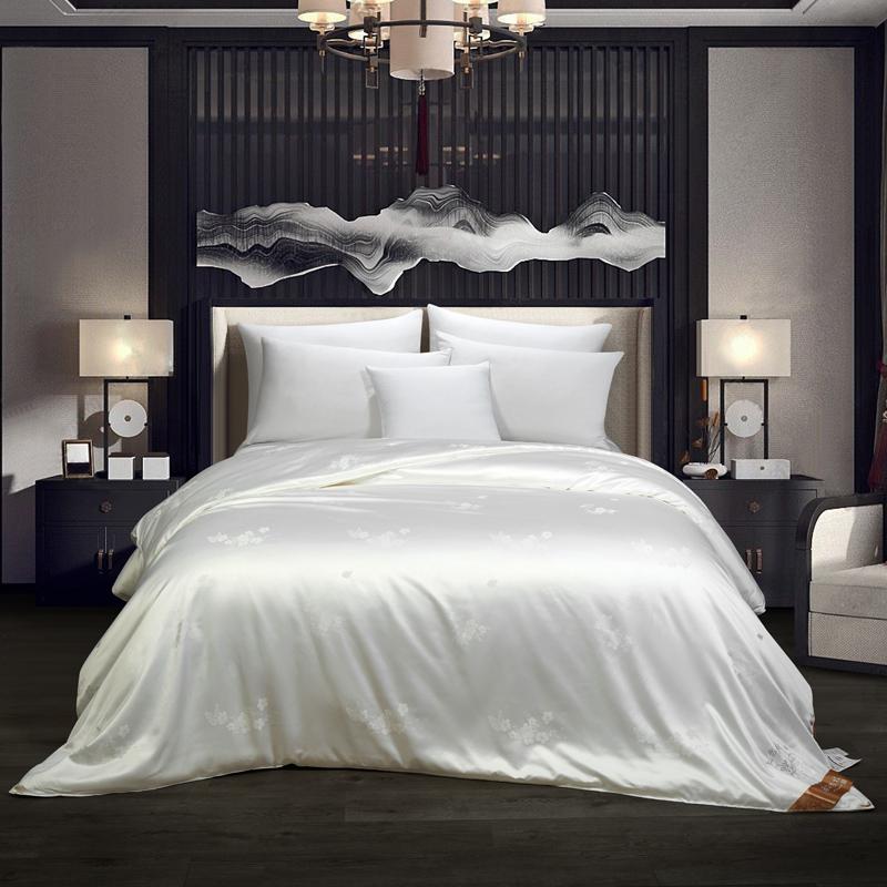 

100% Mulberry Silk Comforter 4 Season Duvet Insert Luxury Natural Silk Blanket Satin Bedding Quilt  Queen Bed For Winter, White