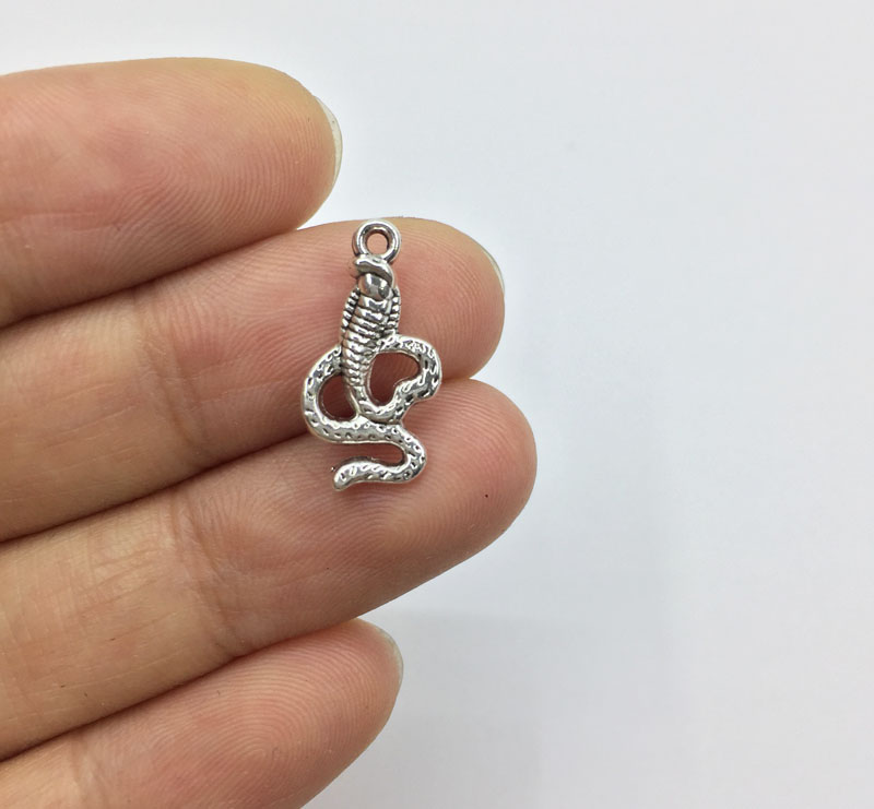 

Eruifa 20pcs 15*9mm Pretty Mini Snake Zinc alloy Jewelry DIY Charms Pendant Necklace,Eearrings 2 Colors