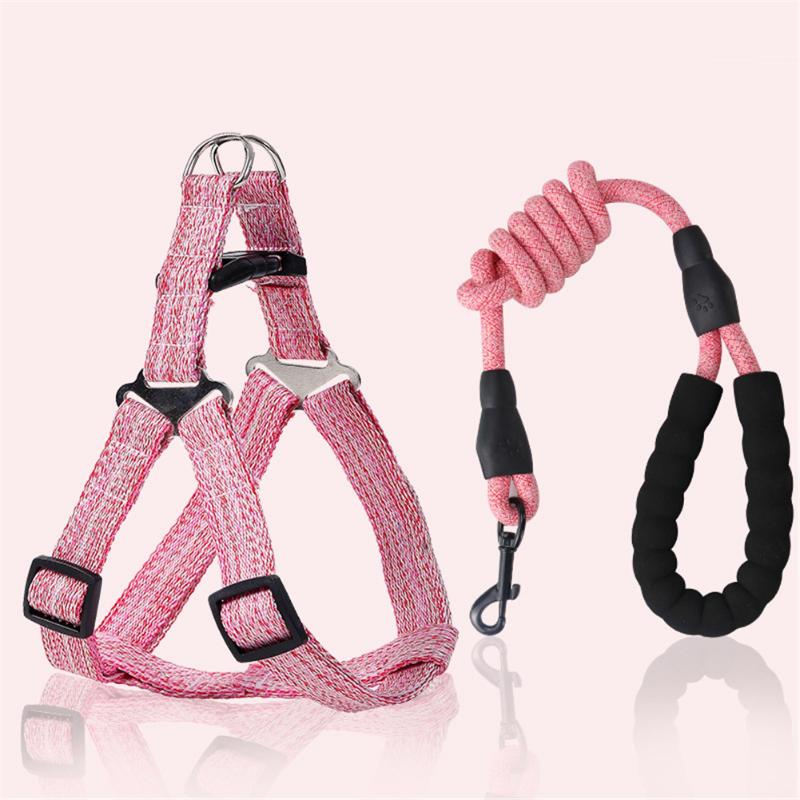 

Small Dog Cat Harness Leash Adjustable Vest Collar Puppy Outdoor Walking Chihuahua Terier Schnauzer