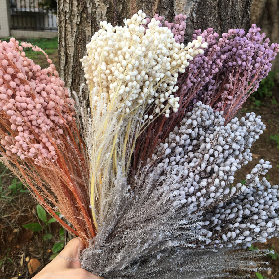 

Preserved Flowers 80g 25-38cm Real Spiked Punch,DIY Nature Fresh Eternell Floral, Wedding Home Eternelle Rose Gift Decoration C0930