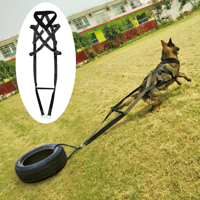 

Dog Training Product Supplier Toys K9 Dog Treats Trainer Pet Accessories Adjustable for Medium Large Dogs German Shepherd