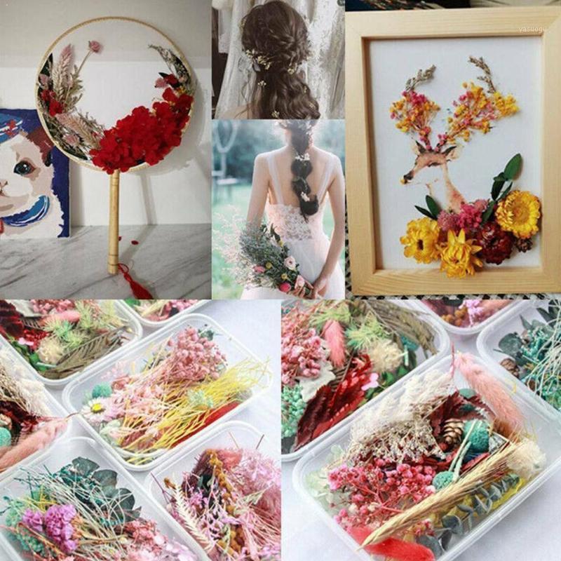 

Random 1box More Than 8 Style Mix Flower Pressed Dried Making Leaves Accessories Dry Jewelry For Nail Decors Diy Plants Art R1Z81