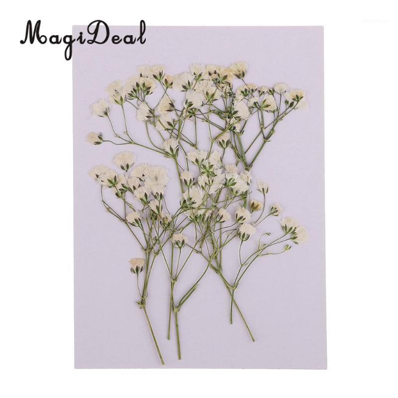 

10Pcs Beautiful Pressed Real Baby's Breath Flower Dried Flowers for Art Craft Scrapbooking Card Making Resin Mold Filler1, As pic