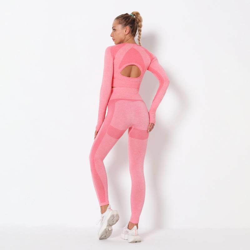 

New Women 2pcs Seamless Yoga Set Sport Suit Gymwear Workout Clothes Long Sleeve Gym Crop Top High Waist Sports Wear, Black
