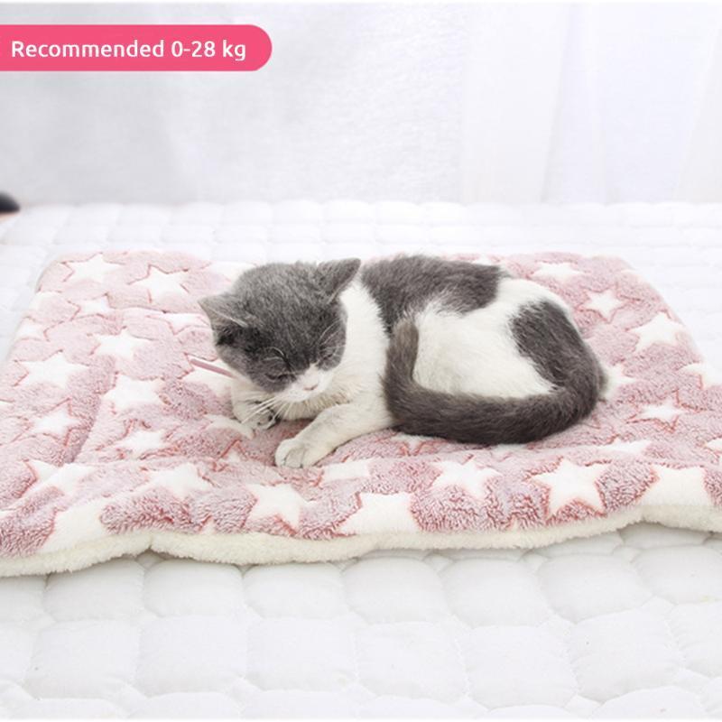 

Winter Pet Bed Mat New Pet Soft Fleece Cat Bed Mat Rest Dog Blanket Foldable Cushion Cashmere Soft Warm Sleep1