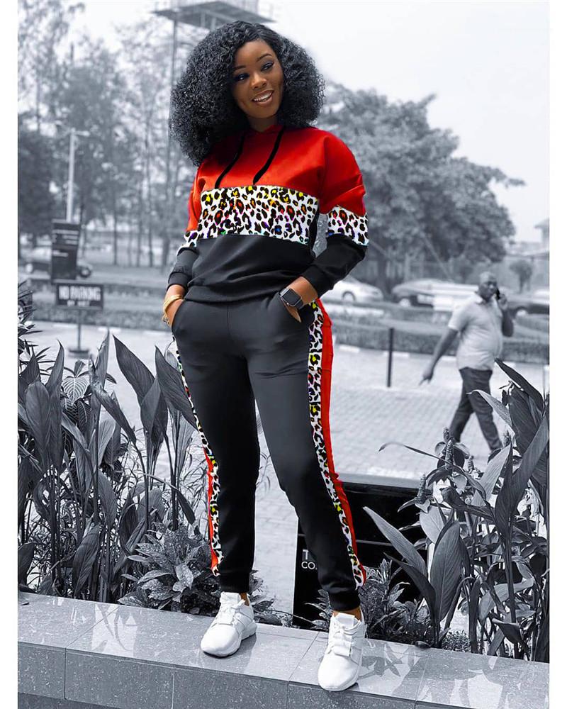 

2 Piece Set Autumn Winter Sexy Women 2PCS Outfit Fashion Casual Designer Tracksuits Leopard Print Panelled Hoodies Womens Clothing, Gray