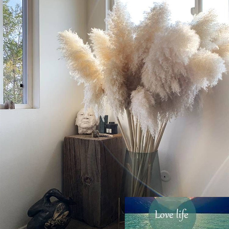 

3PCS 55CM80CM White Natural Reed Dried Flower Big Pampas Grass Bouquet Wedding Flower Ceremony Decoration Modern Home Decoration, Lucai