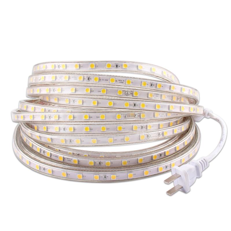 

220V LED Strip Light,220V Waterproof IP67 SMD 60leds/m Tape Diode,220 V Volt Led Strip Flexible Lamp Power Plug Living Room