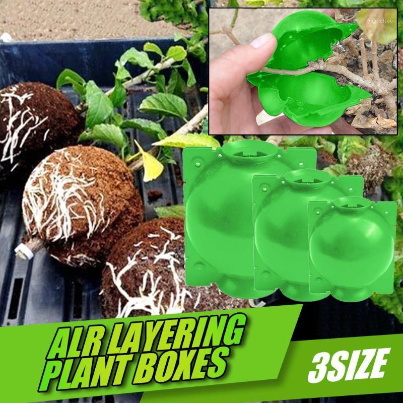 

Plant Rooting Ball Grafting Rooting Growing Box Breeding Case for Garden Plant S/M/L high-pressure propagation box Sapling1, Multicolor