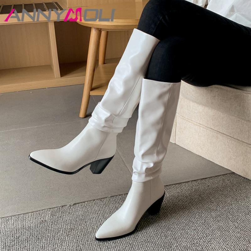

ANNYMOLI Pleated Real Leather High Heel Long Boots Women Shoes Pointed Toe Slip On Thick Heels Lady Knee High Boots White 33-401, Black synthetic lin