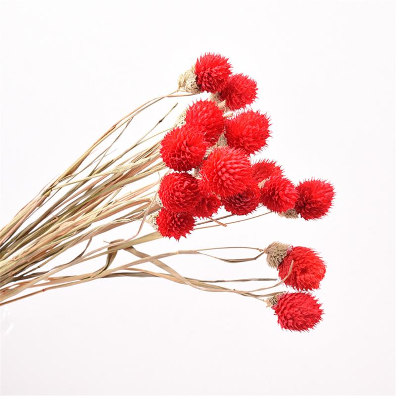 

Natural Dried Flower Gomphrena Globosa Bouquets Home Decor Wedding Party Decoration Wild Strawberry Flower Bouquets, Beige