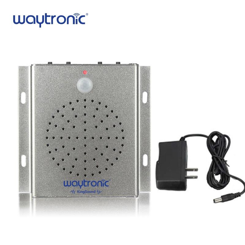 pen drive player with speaker