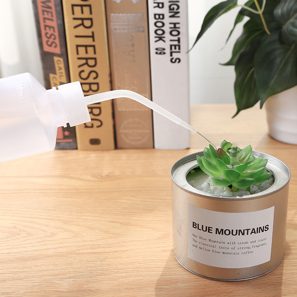 

Succulents, Pointed Mouth Non-Spray Bottle Dispenser Liquid Kitchen Tools Transparent Container Watering G705