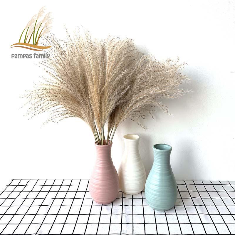 

pampas grass decor natural dried flowers feather flowers decoration home decoration wedding road lead with plastic vase, 20pcs