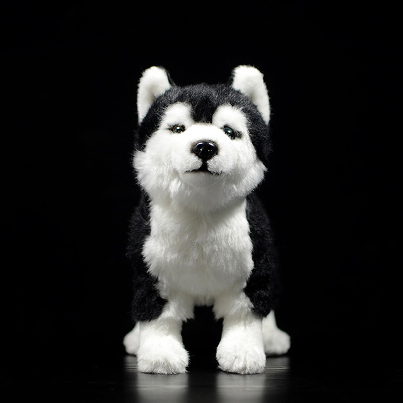 

25CM Siberian Husky Dog Plush Toy W/ Brown/Blue Eyes Lifelike Alaskan Malamute Stuffed Animal Toys Christmas Gifts LJ201126, Husky 23cm