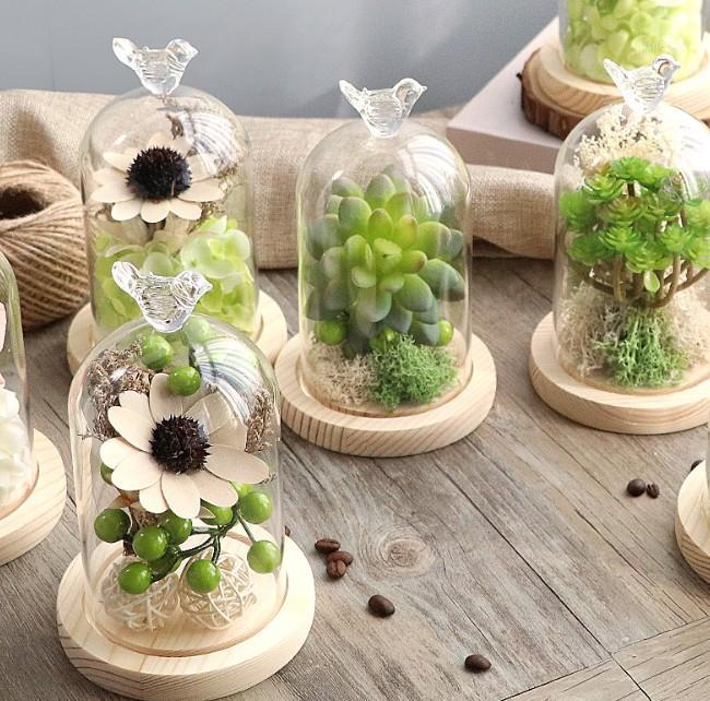 

Succulent plants dried flower immortal flower art glass cover imitation artificial flower set ornament decoration craft gift1, As pic